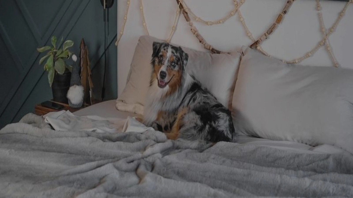 peachskin sheets product image