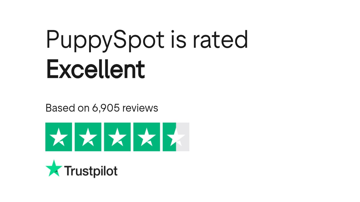 puppyspot product image
