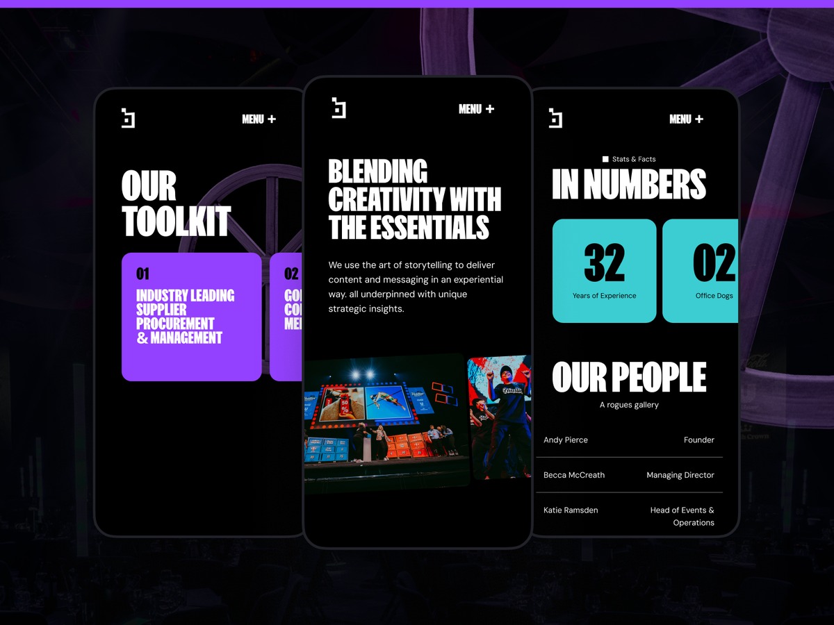 bandwagonhost product image