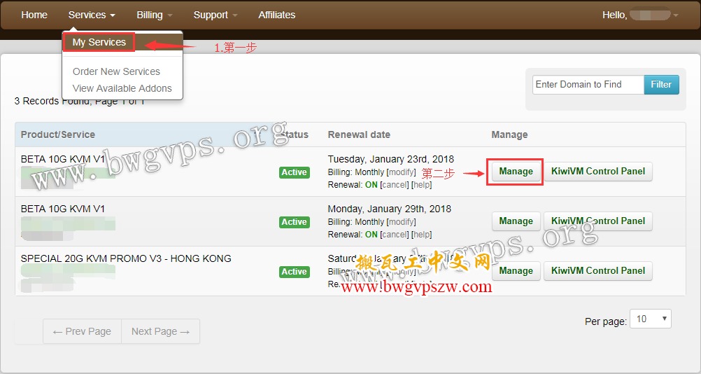 bandwagonhost product image