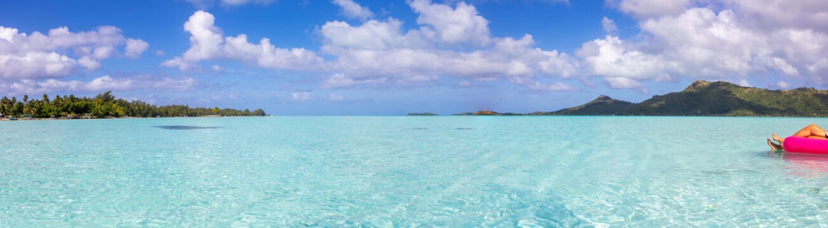 free the ocean product image