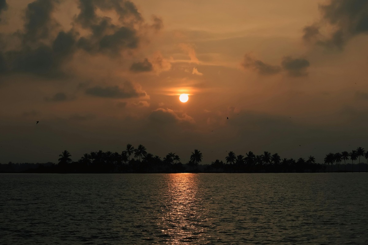 free the ocean product image