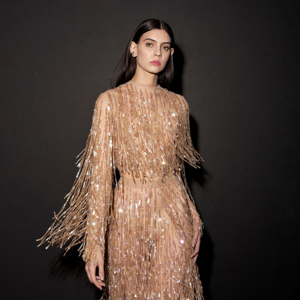 lapointe product image