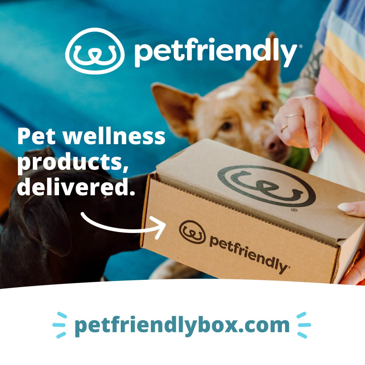 pet friendly product image