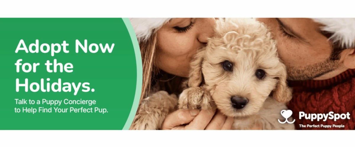 puppyspot product image