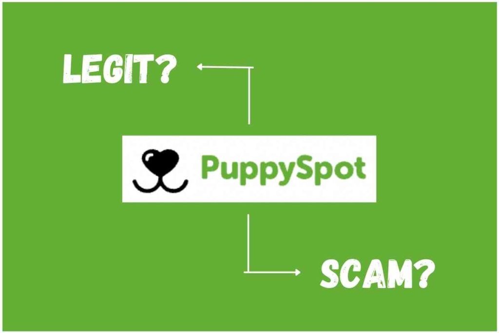 puppyspot product image