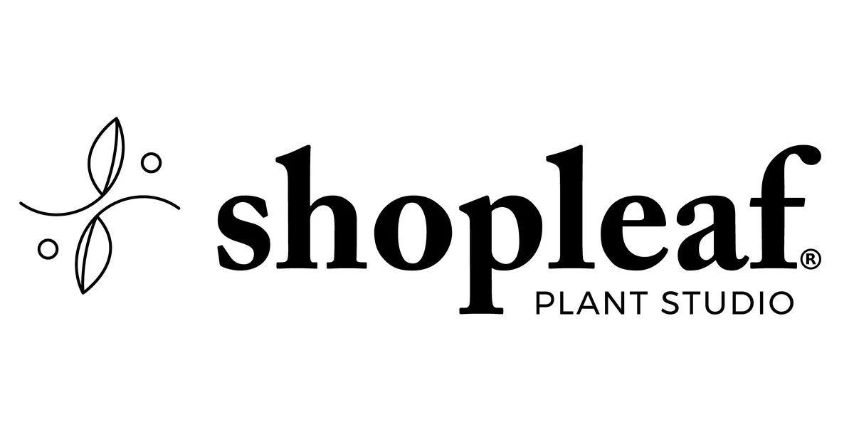 purple leaf umbrella product image